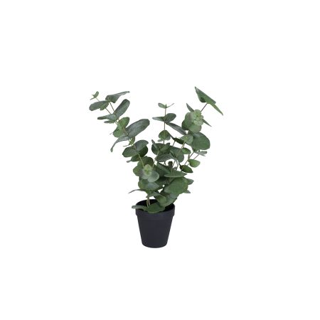 Plante artificielle BOA Mobilier